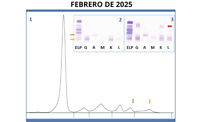 Nueva imagen de la Comisión de Proteínas