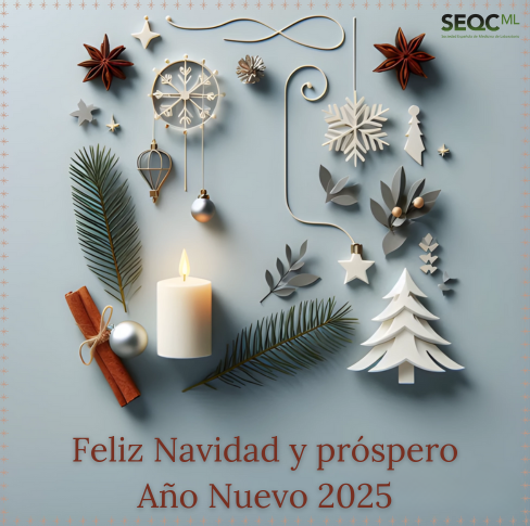 ¡FELICES FIESTAS Y UN PRÓSPERO AÑO 2025!