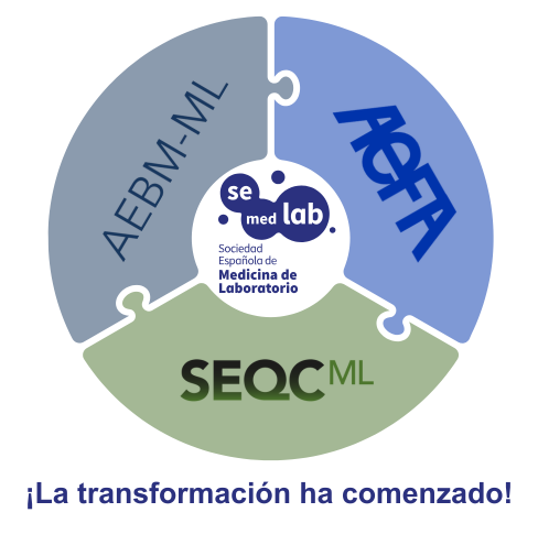 <p><strong>¡La transformación ha comenzado!</strong></p>